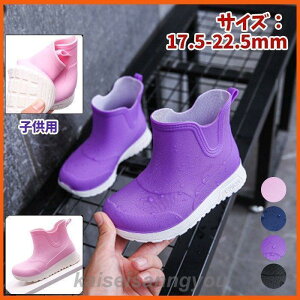 Cu[c qp C j̎q ̎q qp JC ʉ ʊw J΍  ~ h LbY