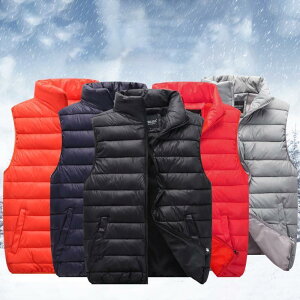 xXg _ExXg Y fB[X t[hȂ WPbg  y h H~ t@bV Mtg g ނ AEghA ؍