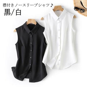  uEX ^Ngbv Ȃ Vc Vv m[X[u fB[X gbvX X[c C[h ݕt VcuEX    Y