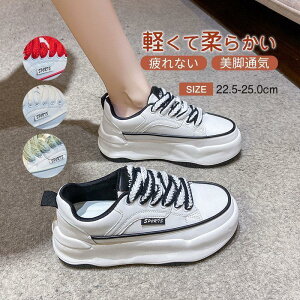  Xj[J[ fB[X C X|[cV[Y V[Y ~ h r r ₷ Ȃ ɂȂ ʋC Vv