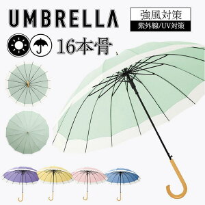 P 16{ P JP SՌ Jp fB[X Y jp  ϕ  Wv y ~J  v[g 傫