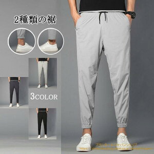 StEGA Ypc e[p[hpc   㕪 hV̓ v[g Xgb` e[p[h pc Y{ Y 2023 ̓