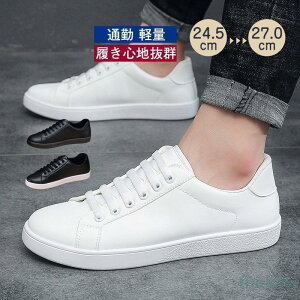 tbgV[Y Xj[J[ Y EH[LOV[Y C ʋC y ϖ _炩 ₷ K w ʊw ʋ s tH