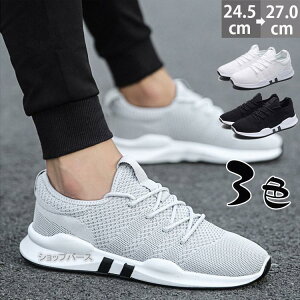 Xj[J[ Y LO X|[c  EH[LO ʋC h lGp ɂȂ @\ KSn K Ȃ U 傫TCY