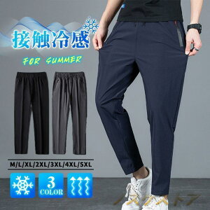 WK[pc Y XEFbgpc 葬 JWA Y{ y  Ђ Ȃ  X|[c  Xgb`