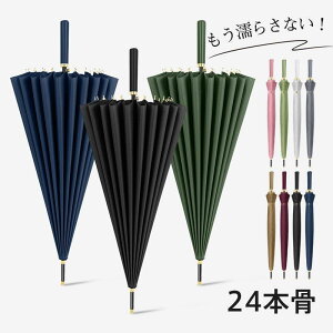 JP P WvP fB[X StP Jp jp  ^b` J ܂ɂ 24{ P ɋ ~J΍