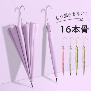 JP P WvP fB[X StP Jp jp  ^b` J ܂ɂ 16{ P ɋ ~J΍