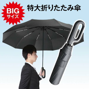 折りたたみ傘 自動開 BIG コンパクト 撥水加工 丈夫 高強度グラスファイバー 頑丈 10本骨 125cm 軽量 折り畳み式 メンズ アウトドア おしゃれ