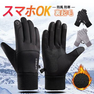  Y fB[X h ۉ N h  h O[u ] Ɨp ~ X|[c  AEghA ʋ ʊw ߓd