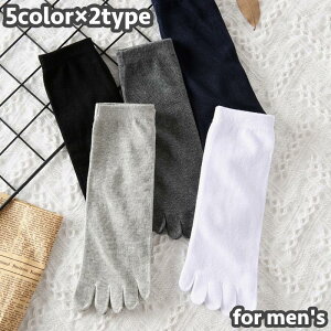 5{wC 5{w\bNX Y jp am   ܖ{w V[g ~fBA N[ n PF Vv g₷ 