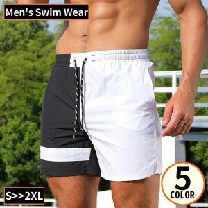  Y 傫TCY XCEFA Cpc Cp Zp V[g gNX {NT[ {bNX  C j