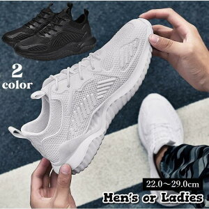 Xj[J[ V[Y Y fB[X RC ^C  傫TCY jO EH[LO j  [Jbg }\ X|[c 