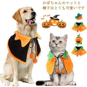 2_Zbg ybg nEBߑ ڂ  L P[v }g nEBRX`[ o[Vu   _炩 L 