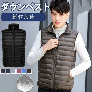 _ExXg WPbg Y fB[X Cg_E Ȃ W Ci[_E H y h  AEghA yoR jp