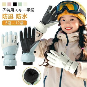 O[u 5{w XL[ XL[O[u Xm{ LbY WjA q Xm[O[u h h  N XL[ Xm{ V ʊw X