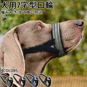  /݂h~    i h~ ObY ˃C ݂h~ ʖi ObY ΍ EH p ^p ybgpi pi