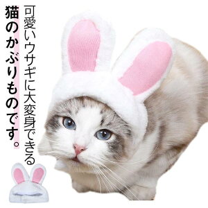 ybgp Xq  蕨 t p Lp Lp   EȒP a nEB NX}X ybgpi