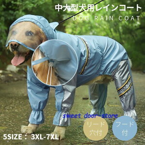 /^pCR[g C|` Jbp pH ۂƕ ۃJo[t 4{ Xqt U o ~J΍ Ȃ ʋC ϋv