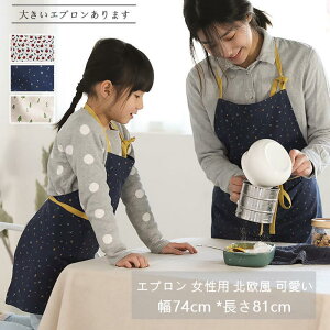 Gv   ۈm q lp 킢 hX  k GvobO fB[X ct | Ǝ Vv ꂢ |Pbg