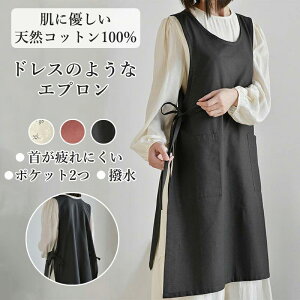 Gv  ԕ n ubN 100 @\|Pbg  jp fB[X Y \ ɂ ƃGv EȒP ƒp ۈm