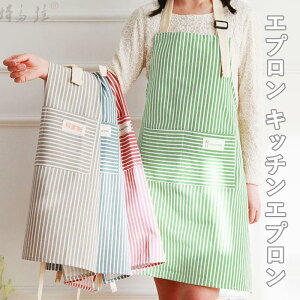 Gv  Ԃ fB[X lp V[g Mtg v[g JtF t   ۈm Y Ǝ 20 30 40 XgCv `FbN