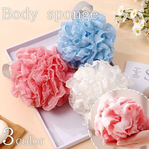 {fBX|W oXX|W {fB^I Aălbg [vt ی` PF \bhJ[ {fBPA A ̐ g̐ {fBEHbV