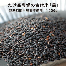 たけ爺農場の古代米「黒」 500g 栽培期間中農薬不使用 国産 国内産 自然食品 メール便 送料無料