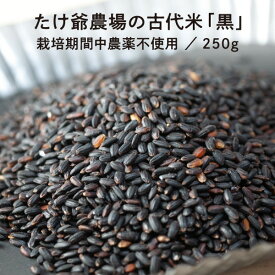 たけ爺農場の古代米「黒」 250g 栽培期間中農薬不使用 国産 国内産 自然食品 メール便 送料無料