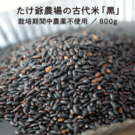 たけ爺農場の古代米「黒」 800g 栽培期間中農薬不使用 国産 国内産 自然食品 メール便 送料無料