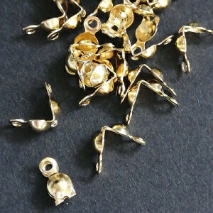 y 50 4.5g z ^J {[`bv nhCh  Ghp[c ߋ ANZT[p[c Jt