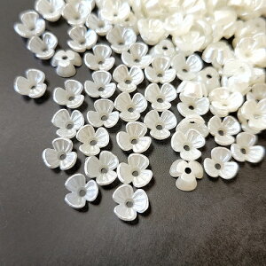 yN[| z z  ~j t[r[Y   ANp[c ANr[Y y 6mm 100 z ANZT[p[c AN p[t[