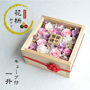 yԞez ev ꏡ L[ut@FiƂj