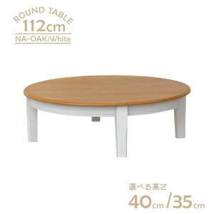  Z^[e[u rJbg Z~I[_[ 112cm 40cm 35cm  4l| yk112za-371-ok-wh-cut c[gJ[ i`I[NF zCgF ؐ k ی^ t@~[ JtF  g