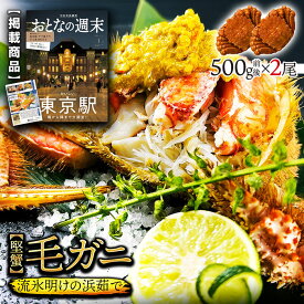 北海道産 浜茹で毛蟹 約500g×2尾【本州・四国エリア送料無料】オホーツク海の流氷明けで水揚げされた堅蟹を獲れたて新鮮なままボイルしてます！ 毛ガニはお取り寄せギフトや贈り物に最適 各種熨斗(のし)対応 誕生日・結婚祝い ・内祝い・無地・など選ばれています。