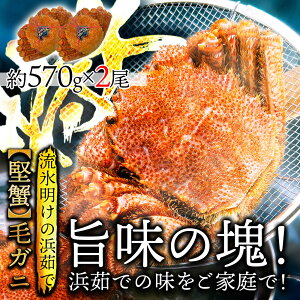 15,960円→9,800円(6,160円引き!!)北海道産 浜茹で毛蟹 約570g×2尾【本州・四国エリア送料無料】オホーツク海の流氷明けで水揚げされた堅蟹を新鮮なままボイルしてます!