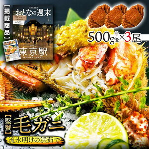 北海道産 浜茹で毛蟹 約500g×3尾【本州・四国エリア送料無料】オホーツク海の流氷明けで水揚げされた堅蟹を新鮮なままボイルしてます! 毛ガニはお取り寄せギフトや贈り物に最適 各種熨