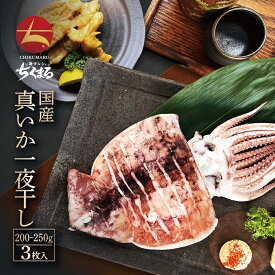 国産 真いか一夜干し 特大サイズ約200～250g ×3枚(b014-04)【本州・四国エリア送料無料】滅菌海水処理で最高鮮度と甘みを追及 原料はイカと塩のみ 無添加 無化調 プチ贅沢 晩酌 ごほうび 海鮮 するめいか スルメイカ 烏賊 いかの一夜干し 残暑見舞い 贈答品