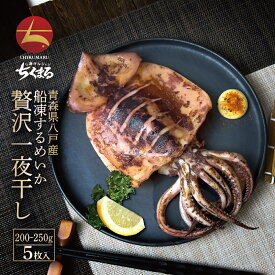青森県八戸産 船凍するめいか 贅沢一夜干し 特大サイズ(1枚約200～250g) ×5枚【本州・四国エリア送料無料】滅菌海水処理で最高鮮度と甘みを追及 無添加 無化調 晩酌 肴 海鮮 するめいか スルメイカ 烏賊 海の幸 いかの一夜干し お中元