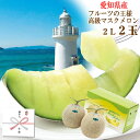 【送料無料】メロン2玉（愛知県産 渥美半島 愛知産 果物 めろん 夏 御中元 お中元 お盆 ヤマサちくわ ジューシー 田原産 メロン マスクメロン ギフト プレゼント 贈り物 フルーツ 高級 美味しい 夏 果物 田原市）