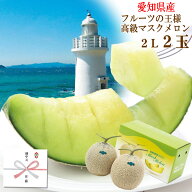 【送料無料】メロン2玉（愛知県産 渥美半島 愛知産 果物 めろん 夏 御中元 お中元 お盆 ヤマサちくわ ジ…