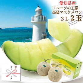 【送料無料】メロン2玉（愛知県産 渥美半島 愛知産 果物 めろん 夏 御中元 お中元 お盆 ヤマサちくわ ジューシー 田原産 メロン マスクメロン ギフト プレゼント 贈り物 フルーツ 高級 美味しい 夏 果物 田原市）