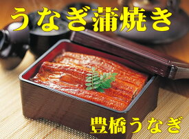 うなぎ蒲焼き 3尾　ギフトセット【たれ付】 (ギフト プレゼント ランキング 人気 誕生日 内祝い お礼 お祝い お返し goto ご当地 ウナギ 鰻 国産 国内産 グルメ 夏ギフト 食べ物 土用の丑の日 土用丑の日 夏目商店 豊橋うなぎ)