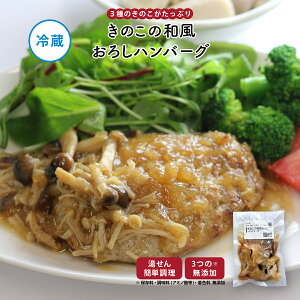 【公式】知久屋「きのこの和風おろしハンバーグ」175g 冷蔵 | ちくや 惣菜 おかず お弁当 無添加 ギフト 新生活 ハロウィン 手作り 肉汁 たっぷり 和風ソース ランチ キャンプ飯