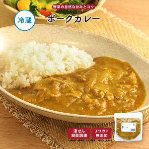 【公式】知久屋「ポークカレー」220g 冷蔵 | ちくや 惣菜 おかず お弁当 無添加 ギフト 新生活 ハロウィン 手作り カレーライス ランチ キャンプ飯 野菜たっぷり スパイス 一人暮らし
