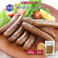 【最大1000円OFFクーポン配布中】【公式】知久屋「ポークソーセージ」ソーセージ120g 5本入 冷凍 | ちく…