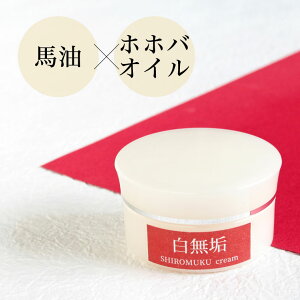 CN[n@zzoIC@~cE@Y@F@ێ@n􂢑