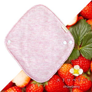 zCi[ ̗p zivL I[KjbNRbg EݘaȂ̃I[KjbNzCi[yaz`NAGOMI` ̃V[g peB[Ci[ AR  pbh Tj[fCY 