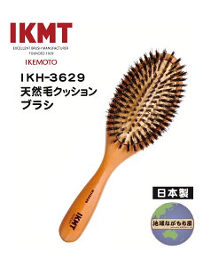 yj y IKT-3629 z IKMT ؖ NbVuV { }bT[W VR b wA uV KNT 