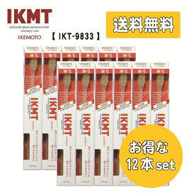 お得な12本セット 《 IKT9833 》IKMT 豚毛 歯ブラシ コンパクト かため ＜ 送料無料 ＞ 天然毛 獣毛 歯科 オーラルケア 旧KNT
