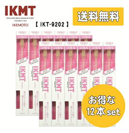 お得な12本セット 《 IKT9202 》 送料無料 IKMT 白馬毛 歯ブラシ 超コンパクト ふつう 天然毛 馬毛 獣毛 歯科 オーラルケア　 旧 KNT